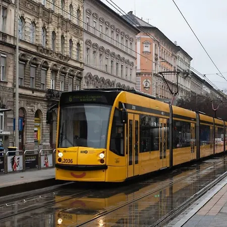 New Comfy At Convenient Location דירה *